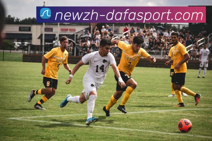 大发体育投注APP 封面图